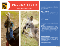 animal adventure guides - Nashville Zoo at Grassmere