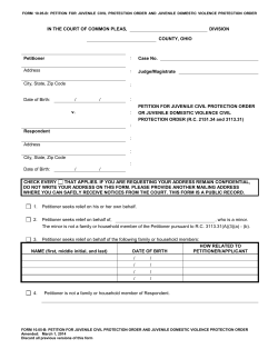 10.01-D Petition for Domestic Violence Civil Protection Order Template