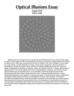 Optical Illusions Essay