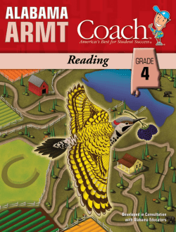 Lesson Practice - Triumph Learning