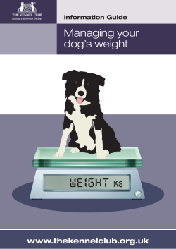 Managing your dog`s weight