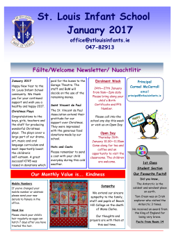 Newsletter January 2017