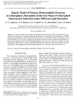 Kinetic Model of Primary Photosynthetic Processes in Chloroplasts