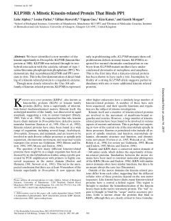 KLP38B: A Mitotic Kinesin-related Protein That Binds PP1