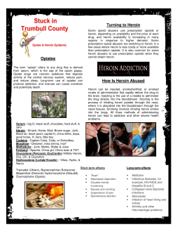 Heroin and Opiate Epidemic - TAG Law Enforcement Task Force