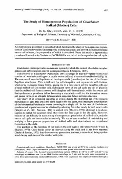 Cells - Microbiology