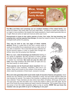 pages, House Mouse, Meadow Vole, White