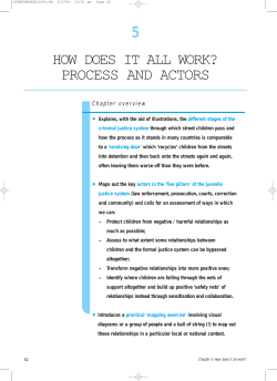 5 HOW DOES IT ALL WORK? PROCESS AND ACTORS