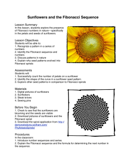 Sunflowers and the Fibonacci Sequence