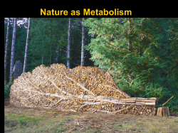 Nature as Metabolism