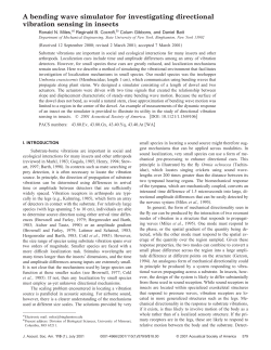 A bending wave simulator for investigating directional vibration