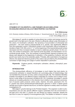 141 UDC 577.13 DYNAMICS OF CHLOROPHYLL AND