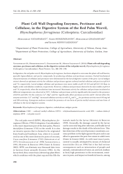 Plant Cell Wall Degrading Enzymes, Pectinase and Cellulase, in the
