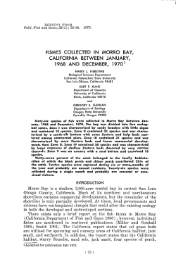 Fishes Collected in Morro Bay, California Between January, 1968