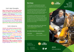 Irish Yogurts Tourist Food Trails