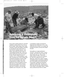Case Study: Retrieving a Stromatolite from the Sahara Desert.