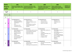 Maths Progress Ladder v.2