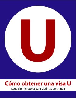 Cómo obtener una visa U