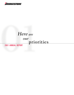 Annual Report 2001 - Bridgestone Corporation