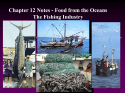 Chapter 12 Notes - Food from the Oceans The Fishing Industry