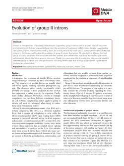 Evolution of group II introns