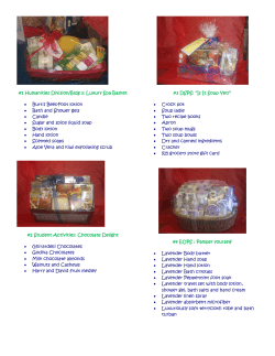 #1 Humanities Division/Bldg 3: Luxury Spa Basket &bull; Burt`s Bees