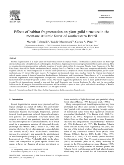 Effects of habitat fragmentation on plant guild structure in the