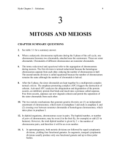 Chapter 3 Answer Keys