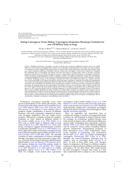 Testing Convergence Versus History
