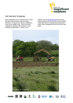 Soil Nutrient Stripping