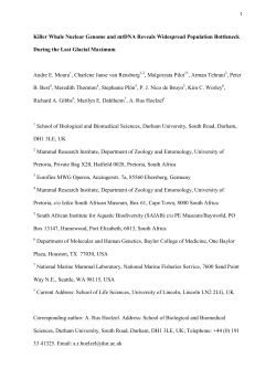 Killer Whale Nuclear Genome and mtDNA Reveals Widespread