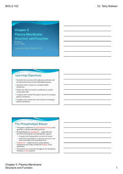 Chapter 5: Plasma Membrane