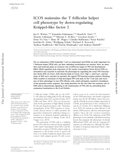ICOS maintains the T follicular helper cell phenotype by down