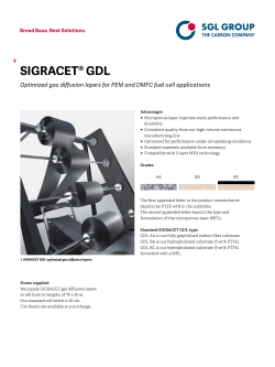 sigracet&reg; gdl