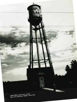 They didn`t just grow there : building water towers in the