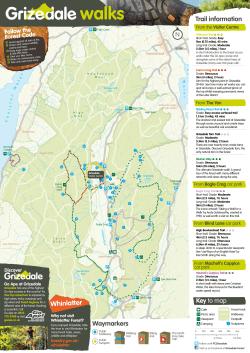 Grizedale walking map