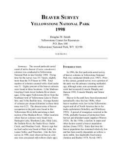 Beaver Survey, Yellowstone National Park, 1998