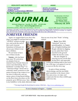 highlights and features - St. Paul`s Lutheran Church