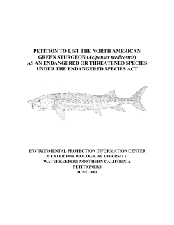 PETITION TO LIST THE NORTH AMERICAN GREEN STURGEON