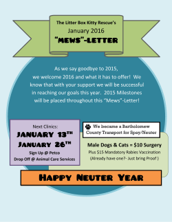 January 2016 - The Litter Box Kitty Rescue