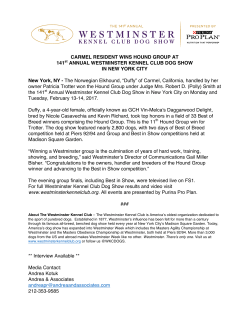 Hound Group Winner - Westminster Kennel Club