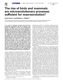 The rise of birds and mammals: are microevolutionary processes