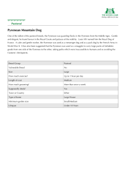 Pyrenean Mountain Dog Information Pack