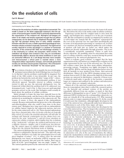 On the evolution of cells