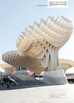 Financial Statements of Nemetschek AG for 2013 28.03.2014pdf