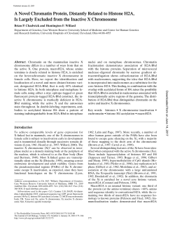 A Novel Chromatin Protein, Distantly Related to Histone H2A, Is