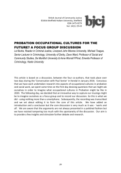 Probation occupational cultures for the future? A focus group