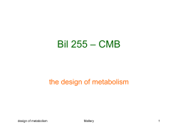 Design of Metabolism
