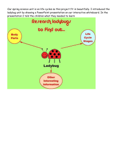 I introduced the ladybug unit by showing a - Kids