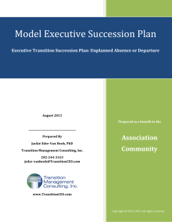 Model Executive Succession Plan